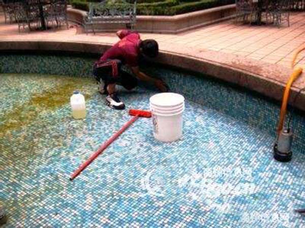 专业的水池清洗服务，包括各类泳池、鱼池、水池等
