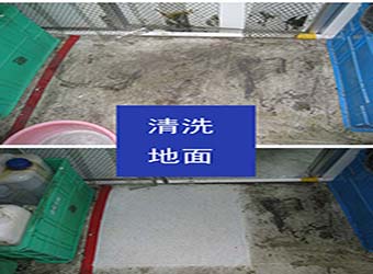 清洗后效果对比